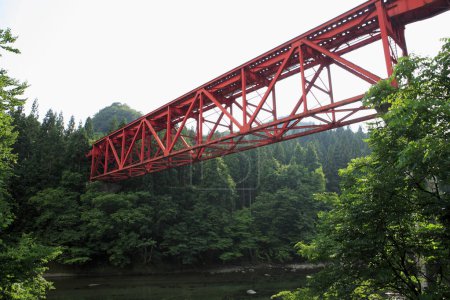 Téléchargez les photos : Pont sur la rivière dans la forêt - en image libre de droit