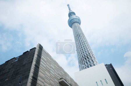 Téléchargez les photos : Tokyo Sky Tree. Le 2ème plus haut bâtiment du monde et le plus haut du Japon - en image libre de droit