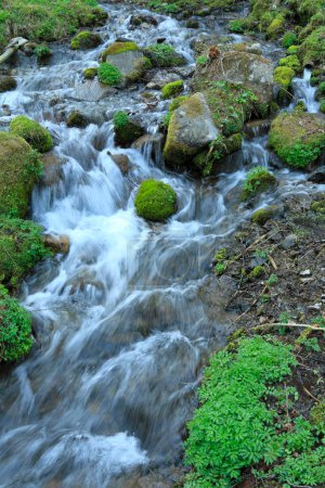 Téléchargez les photos : Ruisseau coulant d'une cascade - en image libre de droit