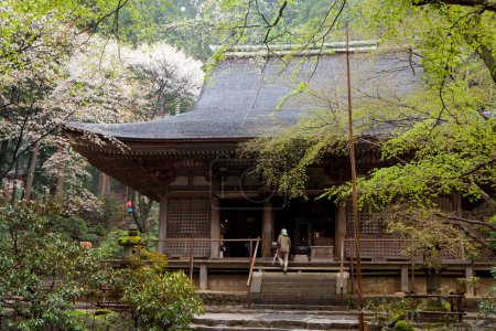 Téléchargez les photos : Prise de vue panoramique des visiteurs de l'ancien temple japonais - en image libre de droit