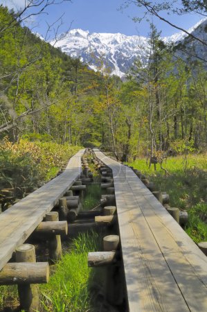 Téléchargez les photos : Un pont en bois dans les bois avec une montagne en arrière-plan - en image libre de droit