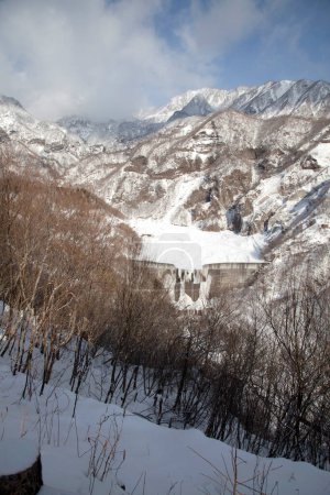 Foto de Árboles cubiertos de nieve en las montañas - Imagen libre de derechos