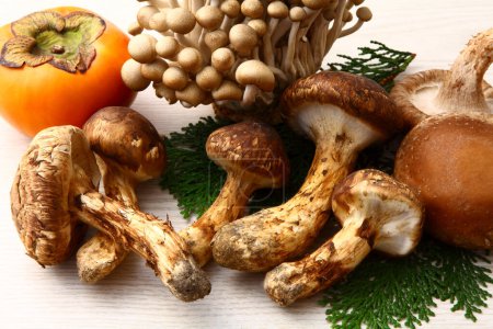 Téléchargez les photos : Différents types de champignons et de kaki sur table en bois - en image libre de droit