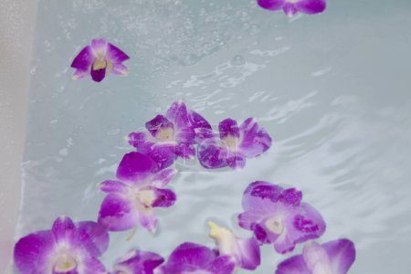Téléchargez les photos : Vue rapprochée de belles fleurs violettes dans l'eau, spa et concept de bien-être - en image libre de droit