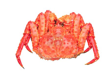 Téléchargez les photos : Rouge roi crabe fermer arrière-plan - en image libre de droit