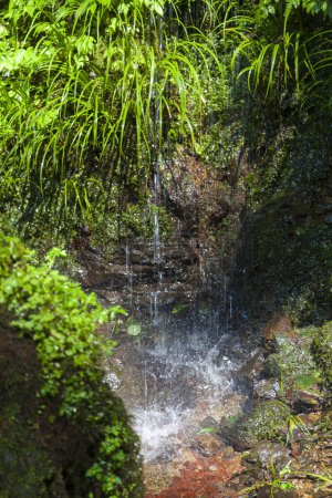 Foto de Cascada en la selva tropical - Imagen libre de derechos
