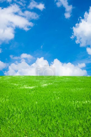 Téléchargez les photos : Champ vert et ciel bleu avec nuages - en image libre de droit