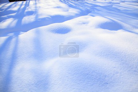 Photo for Snow background in the winter - Royalty Free Image