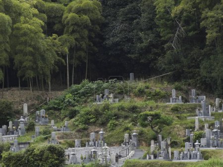 Foto de Un cementerio con muchas lápidas en medio de él - Imagen libre de derechos