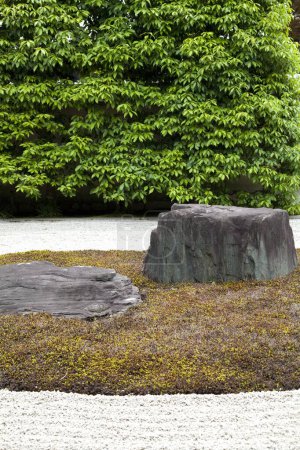 Téléchargez les photos : Un rocher dans un jardin avec un arbre en arrière-plan - en image libre de droit