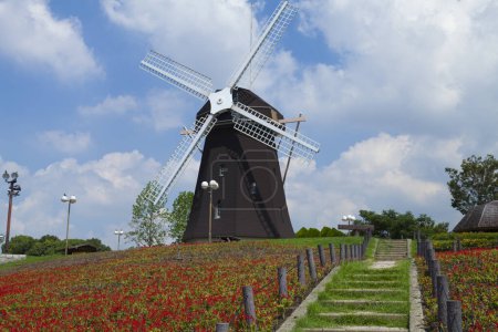 Foto de Un molino de viento en un campo de flores - Imagen libre de derechos