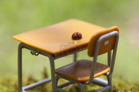 Foto de Mariquita en juguete vacío escritorio de la escuela y silla, objetos en miniatura en la hierba - Imagen libre de derechos
