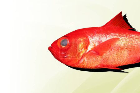 Foto de Un pez rojo con un ojo negro y un fondo amarillo - Imagen libre de derechos