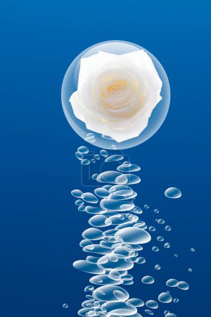 Photo for A rose floating in the air with bubbles - Royalty Free Image