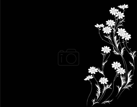 Photo for Black and white floral background - Royalty Free Image