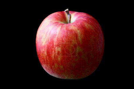Téléchargez les photos : Pomme rouge mûre sur fond noir - en image libre de droit