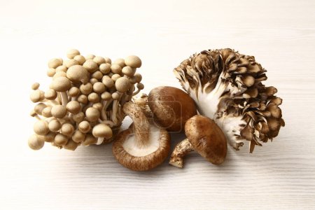 different types of mushrooms on a white background