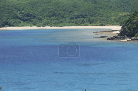 Téléchargez les photos : Belle vue sur le bord de mer avec plage de sable et végétation verte - en image libre de droit
