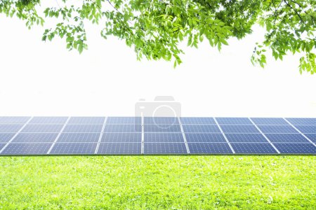 Photo for Green solar panel on the grass - Royalty Free Image