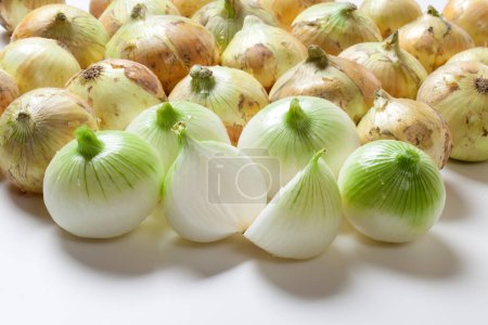 Foto de Cebollas frescas aisladas sobre un fondo blanco
. - Imagen libre de derechos