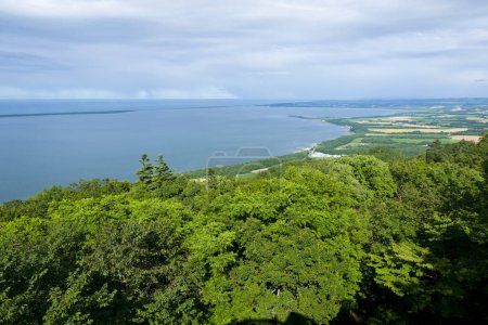 Téléchargez les photos : Vue aérienne d'un lac en été - en image libre de droit