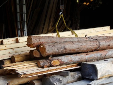 Téléchargez les photos : Tas de bois de chauffage empilés dans une forêt - en image libre de droit
