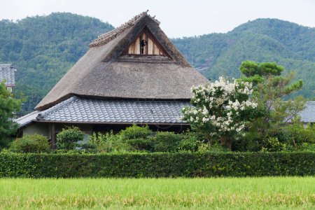 Téléchargez les photos : Belle architecture dans le jardin japonais au Japon - en image libre de droit