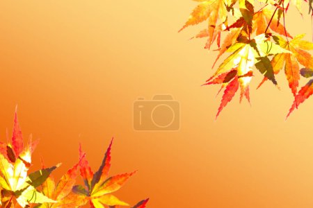 Foto de Hermoso arce de otoño hojas fondo brillante - Imagen libre de derechos
