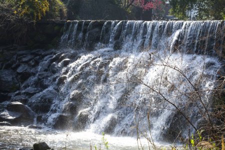 Téléchargez les photos : Belle cascade dans la forêt - en image libre de droit