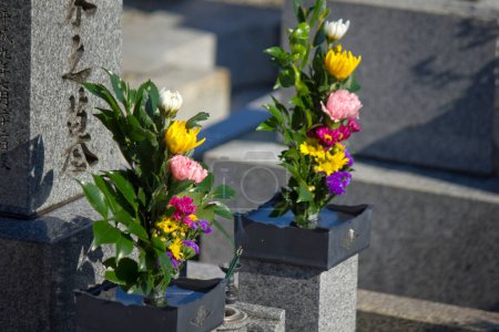 Photo for A closeup shot of a beautiful flowers in a cemetery - Royalty Free Image