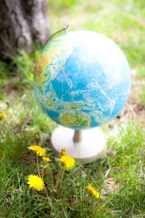 Téléchargez les photos : Globe terrestre et fleurs de pissenlit dans l'herbe - en image libre de droit