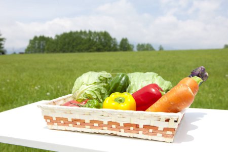 Téléchargez les photos : Boîte pleine de légumes biologiques - en image libre de droit