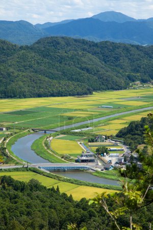 Téléchargez les photos : Belle vue aérienne des rizières et de la rivière une journée ensoleillée - en image libre de droit