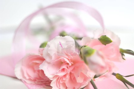 Foto de Ramo de flores de Eustoma rosa - Imagen libre de derechos