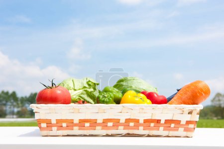 Photo for Basket with fresh vegetables on table outdoors - Royalty Free Image