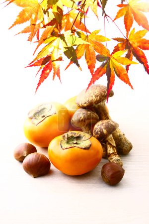 Téléchargez les photos : Composition automnale de kaki frais, noix, champignons et feuilles d'érable vives isolés sur fond blanc - en image libre de droit