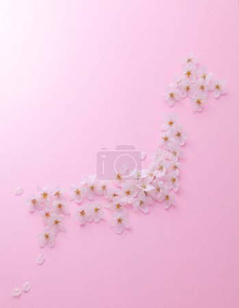 Photo for Close-up view of beautiful flower petals on pink background - Royalty Free Image