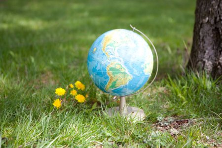 Téléchargez les photos : Globe terrestre et fleurs de pissenlit dans l'herbe - en image libre de droit