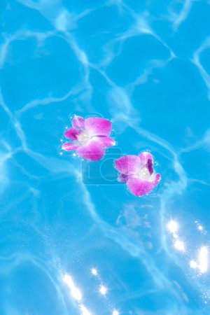 Foto de Vista de cerca de hermosas flores púrpuras en el agua, piscina y pétalos - Imagen libre de derechos
