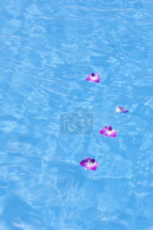 Foto de Vista de cerca de hermosas flores púrpuras en el agua, piscina y pétalos - Imagen libre de derechos