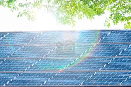 Photo for Solar panel and green tee - Royalty Free Image