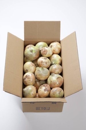 Foto de Primer plano de cebollas frescas en caja de cartón sobre fondo blanco - Imagen libre de derechos