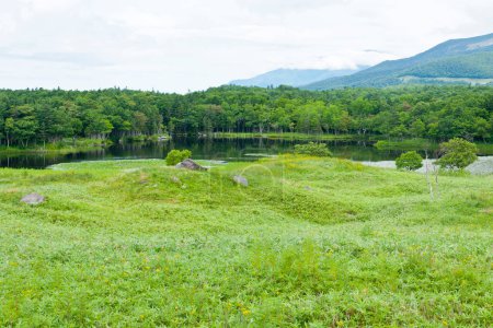 Téléchargez les photos : Un lac avec forêt verdoyante et une montagne en arrière-plan - en image libre de droit