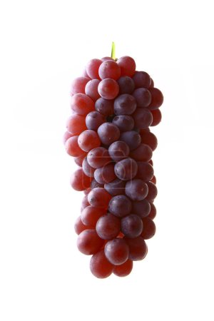 Foto de Vista de cerca de uvas orgánicas frescas maduras sobre fondo blanco - Imagen libre de derechos