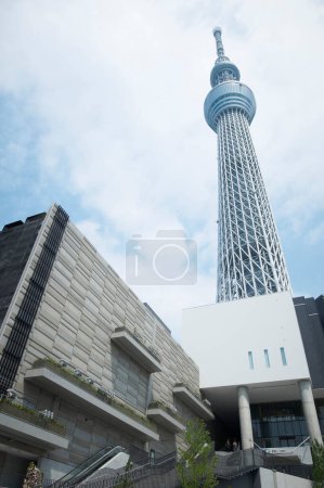 Téléchargez les photos : Tokyo Sky Tree. Le 2ème plus haut bâtiment du monde et le plus haut du Japon - en image libre de droit