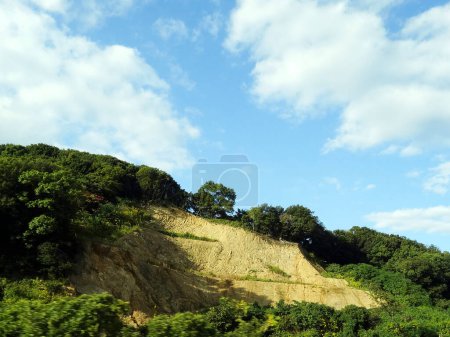 Photo for View of the hill and trees - Royalty Free Image
