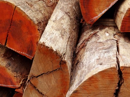 Foto de Cerrar troncos de madera - Imagen libre de derechos