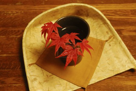 Téléchargez les photos : Plante aux feuilles rouges sur table en bois - en image libre de droit