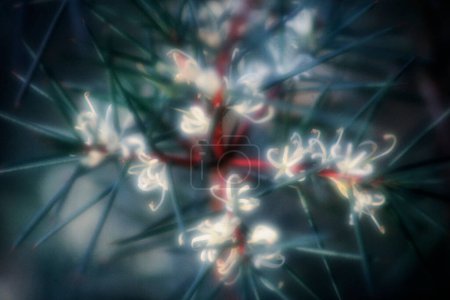 Photo for Abstract colorful blurred  flowers background - Royalty Free Image