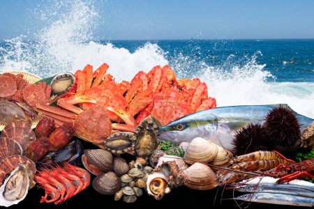 exotische Meeresfrüchte Plater mit einer Vielzahl von verschiedenen frischen Meeresfrüchten  